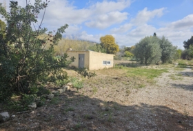 Foto 16