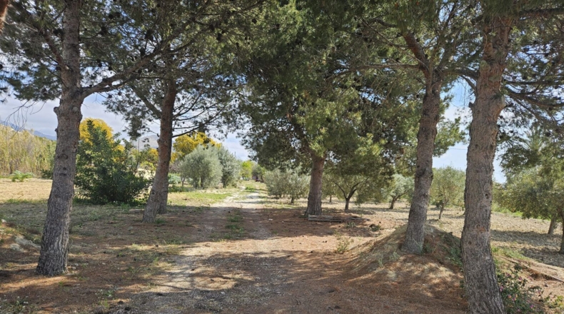 Alicante - Villajoyosa - 7000m2