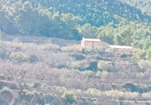 Finca rústica en venda a Saix ref.: TR277942 foto