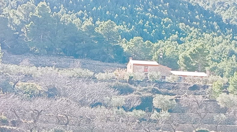 Teruel - Cella - 66072m2