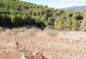 Finca rústica en venda a Saix ref.: TR277942 foto