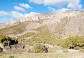 Finca rústica en venda a Saix ref.: TR277942 foto
