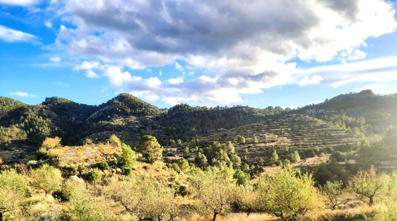 Alicante - Sella - 940m2