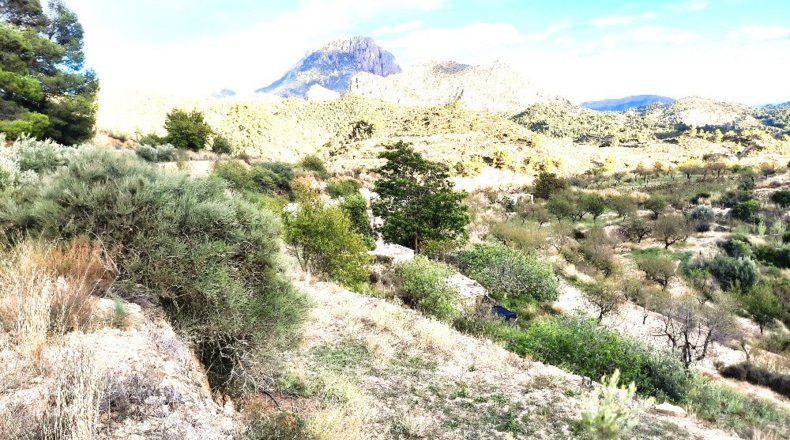 Alicante - Sella - 940m2