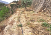 Terreno no urbanizable en venta en la España, Elda, ref: TR107619 foto
