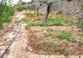 Terreno no urbanizable en venta en la España, Elda, ref: TR107619 foto