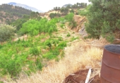 Terreno no urbanizable en venta en la España, Elda, ref: TR107619 foto