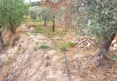 Terreno no urbanizable en venta en la España, Elda, ref: TR107619 foto