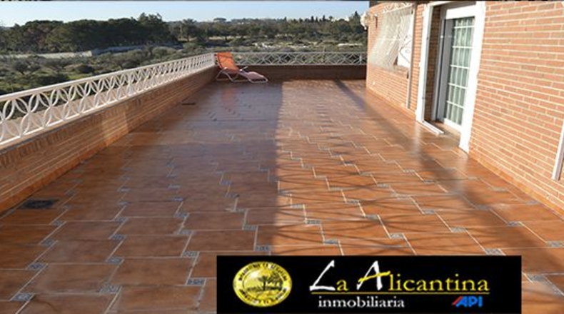 Alicante - Alicante - 1808m2