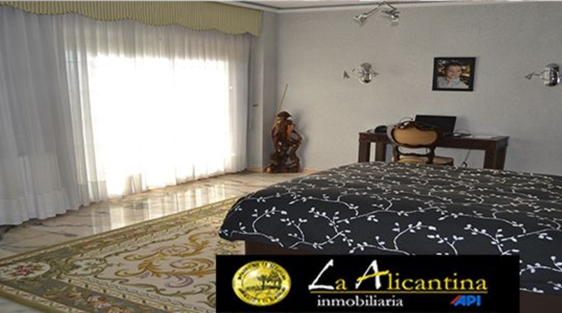 Alicante - Alicante - 1808m2