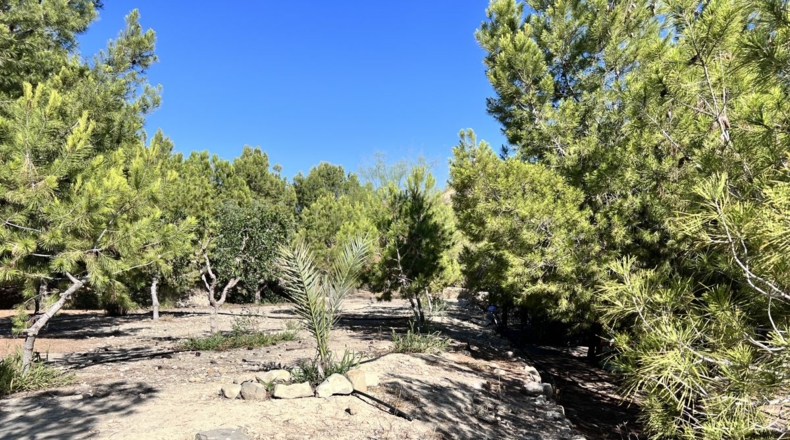 Alicante - Alicante - 7000m2