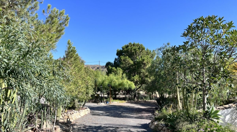 Alicante - Alicante - 7000m2