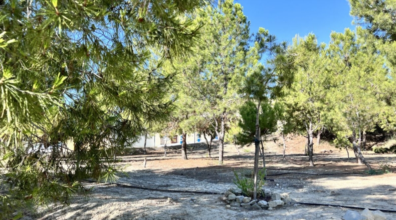 Alicante - Alicante - 7000m2