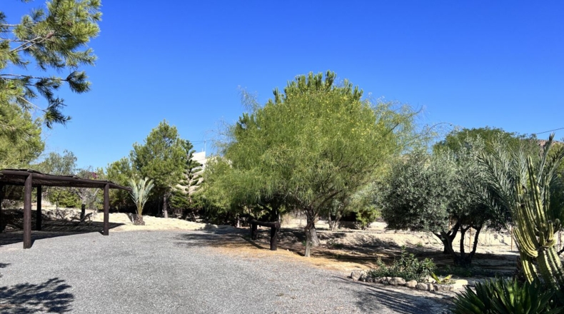 Alicante - Alicante - 7000m2