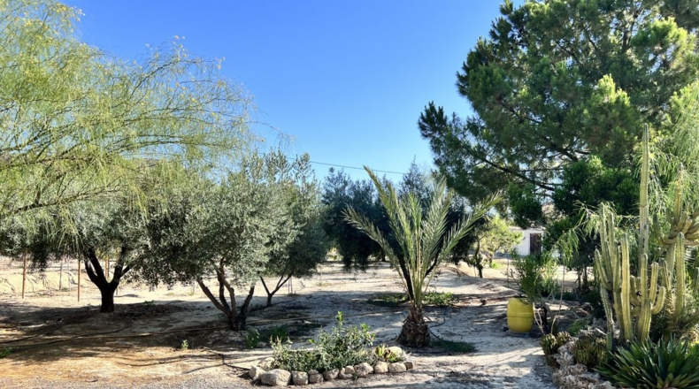 Alicante - Alicante - 7000m2