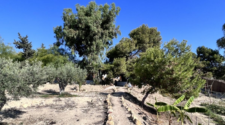 Alicante - Alicante - 7000m2