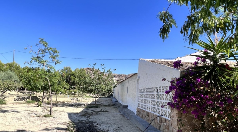 Alicante - Alicante - 7000m2
