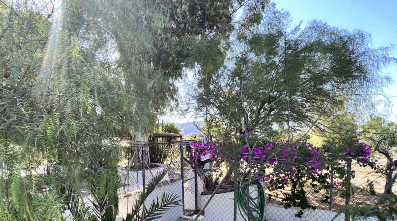 Alicante - Alicante - 7000m2