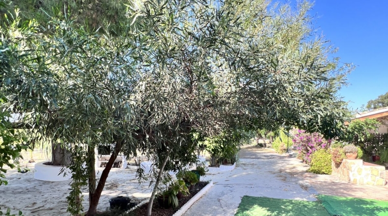 Alicante - Alicante - 7000m2
