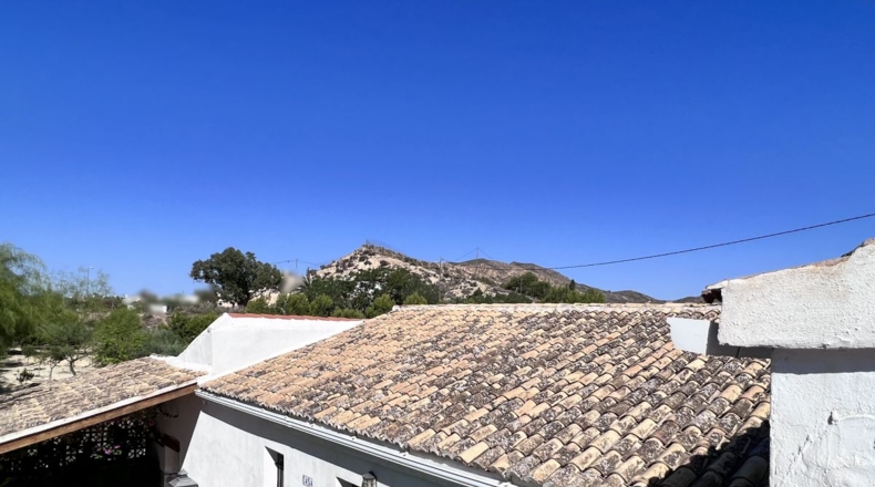 Alicante - Alicante - 7000m2