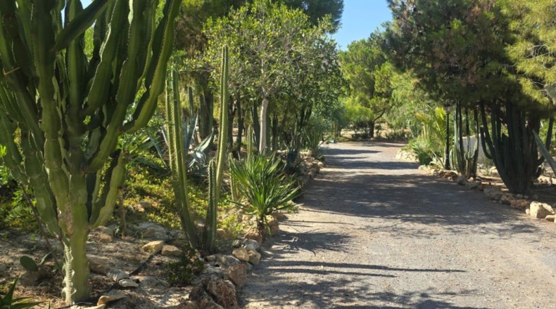 Alicante - Alicante - 7000m2