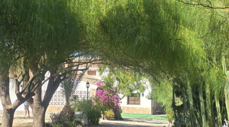 Alicante - Alicante - 7000m2