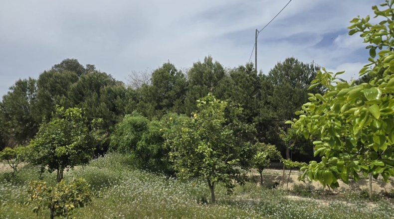 Alicante - Alicante - 7000m2