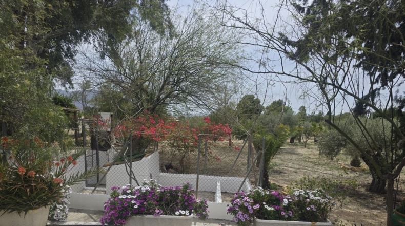 Alicante - Alicante - 7000m2