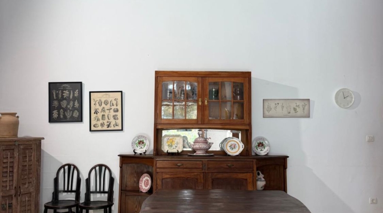 Alicante - Alicante - 7000m2
