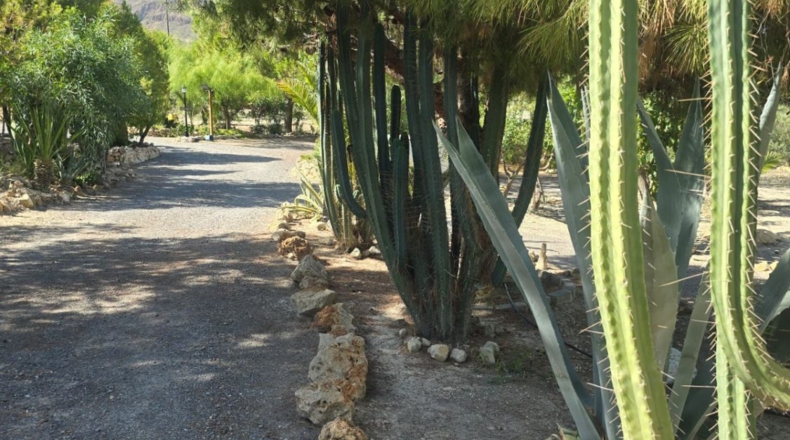 Alicante - Alicante - 7000m2