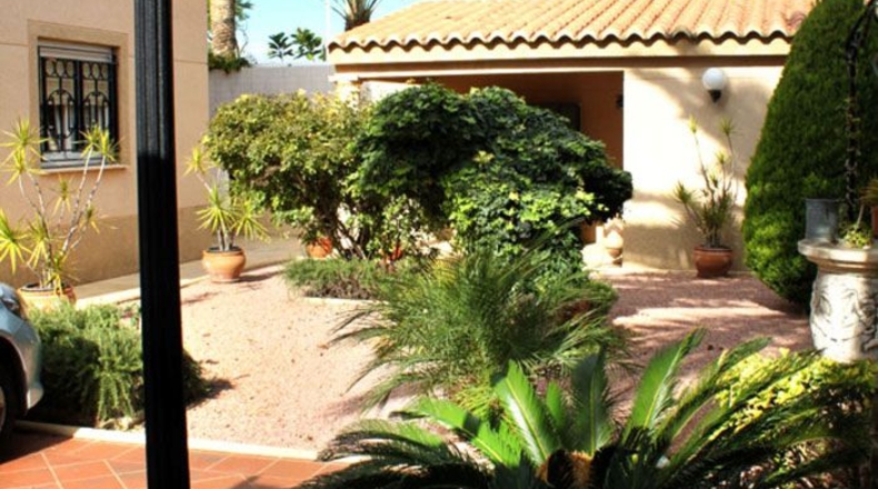 Alicante - Alicante - 800m2