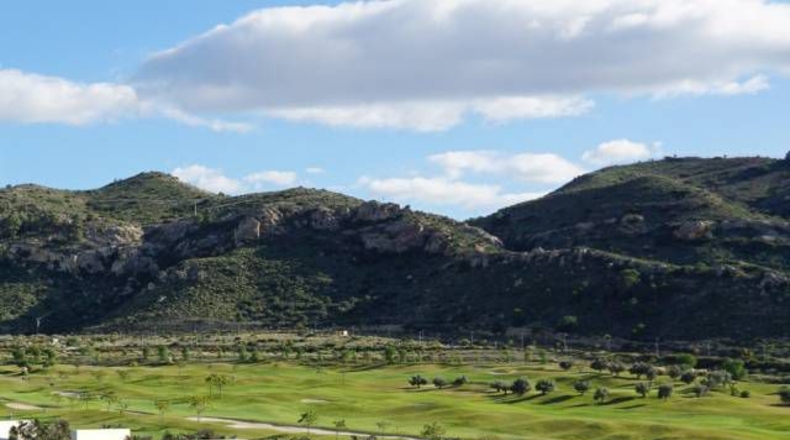Alicante - Aspe - 277m2