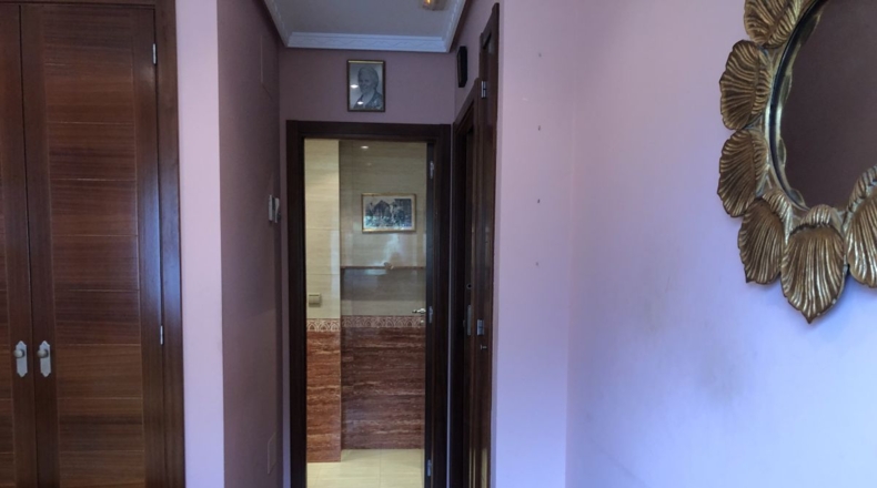 Alicante - Alacant - 550m2
