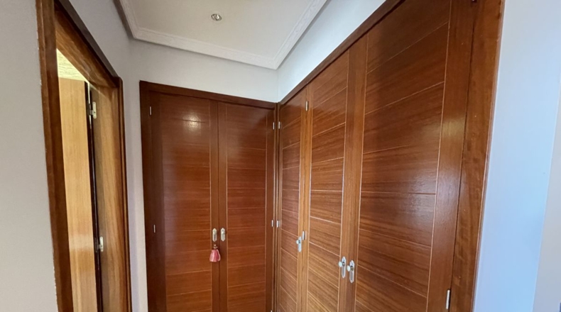 Alicante - Alacant - 550m2