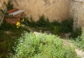 Casa de pueblo en venta en Planes ref: TR201994 foto