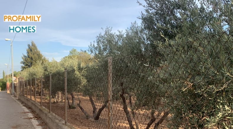 Alicante - Alicante - 112m2