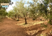 Suelo urbano en venta en La Cañada ref: TR183073 foto