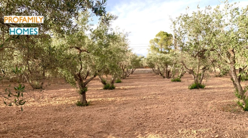 Alicante - Alicante - 112m2