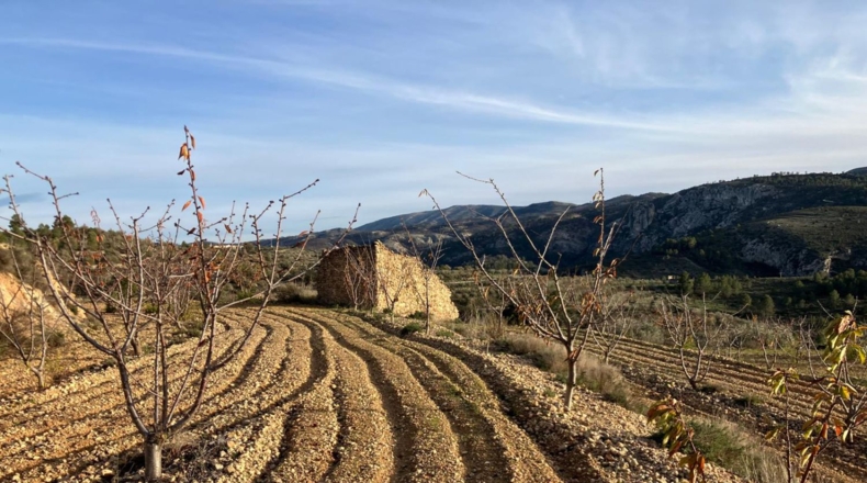 Alicante - Catamarruc - 15000m2