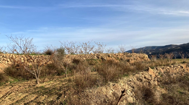 Alicante - Catamarruc - 15000m2