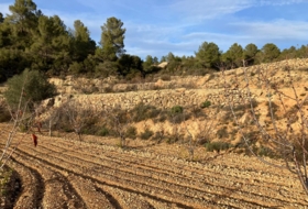 Foto 14