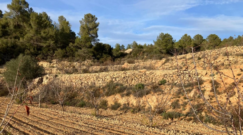 Alicante - Catamarruc - 15000m2