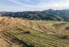 Foto 16