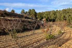 Foto 15