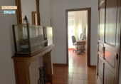 Xalet independent amb terreny en venda a Alacant ref.: TR252777 foto