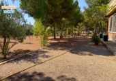 Xalet independent amb terreny en venda a Alacant ref.: TR252777 foto