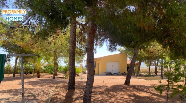 Alicante - Alicante - 195m2