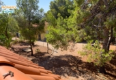 Xalet independent amb terreny en venda a Alacant ref.: TR252777 foto