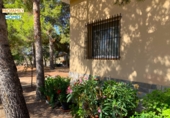 Xalet independent amb terreny en venda a Alacant ref.: TR252777 foto