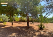 Xalet independent amb terreny en venda a Alacant ref.: TR252777 foto